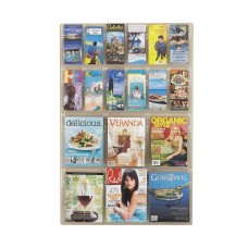 Safco Products Reveal Literature Display SF2132